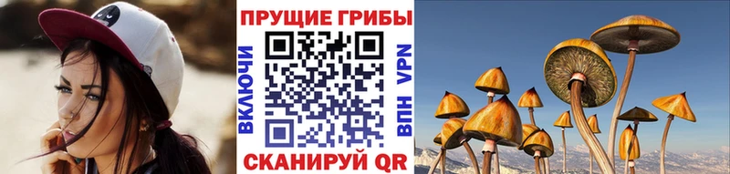 Галлюциногенные грибы мицелий  Кодинск 